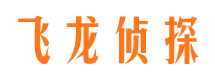 武邑侦探公司